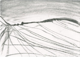 Galerie Born, zeitgenössische Kunst. Malerei, Zeichnung und Skulptur. 