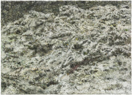 Galerie Born, zeitgenössische Kunst. Malerei, Zeichnung und Skulptur. 