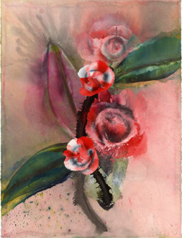 Galerie Born, zeitgenössische Kunst. Malerei, Zeichnung und Skulptur. 