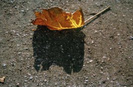 Galerie Born, zeitgenössische Kunst. Malerei, Zeichnung und Skulptur. 