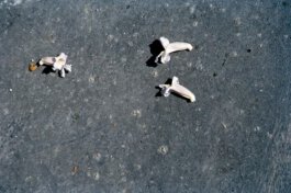 Galerie Born, zeitgenössische Kunst. Malerei, Zeichnung und Skulptur. 