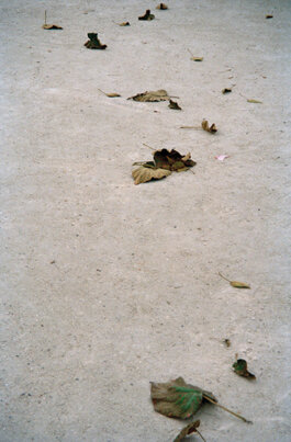 Galerie Born, zeitgenössische Kunst. Malerei, Zeichnung und Skulptur. 