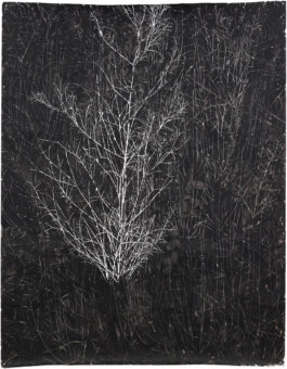 Galerie Born, zeitgenössische Kunst. Malerei, Zeichnung und Skulptur. 