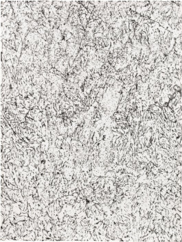 Galerie Born, zeitgenössische Kunst. Malerei, Zeichnung und Skulptur. 