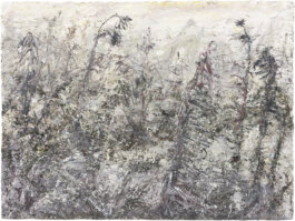 Galerie Born, zeitgenössische Kunst. Malerei, Zeichnung und Skulptur. 