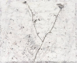 Galerie Born, zeitgenössische Kunst. Malerei, Zeichnung und Skulptur. 