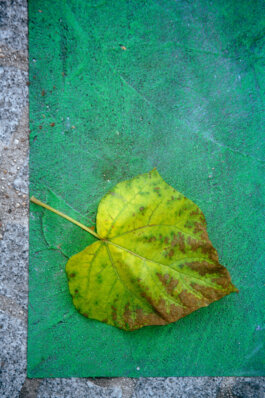 Galerie Born, zeitgenössische Kunst. Malerei, Zeichnung und Skulptur.