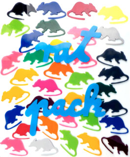 Galerie Born, zeitgenössische Kunst. Malerei, Zeichnung und Skulptur. 