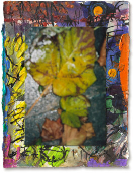 Galerie Born, zeitgenössische Kunst. Malerei, Zeichnung und Skulptur.