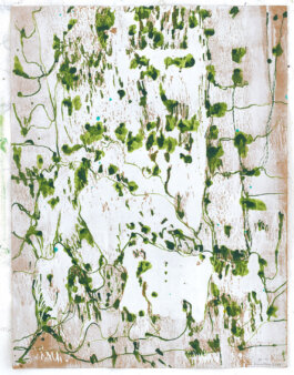 Galerie Born, zeitgenössische Kunst. Malerei, Zeichnung und Skulptur.