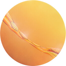 Galerie Born, zeitgenössische Kunst. Malerei, Zeichnung und Skulptur. 