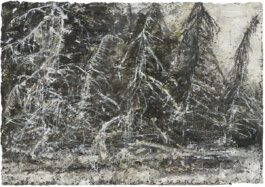 Galerie Born, zeitgenössische Kunst. Malerei, Zeichnung und Skulptur. 