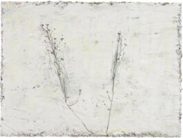 Galerie Born, zeitgenössische Kunst. Malerei, Zeichnung und Skulptur. 