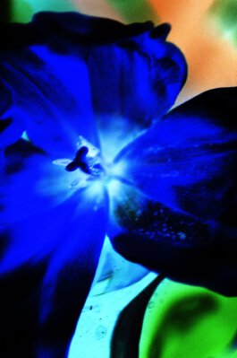 Galerie Born, zeitgenössische Kunst. Malerei, Zeichnung und Skulptur.