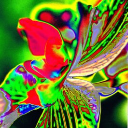 Galerie Born, zeitgenössische Kunst. Malerei, Zeichnung und Skulptur. 