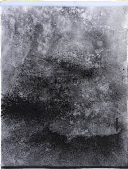 Galerie Born, zeitgenössische Kunst. Malerei, Zeichnung und Skulptur. 