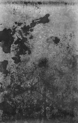 Galerie Born, zeitgenössische Kunst. Malerei, Zeichnung und Skulptur. 