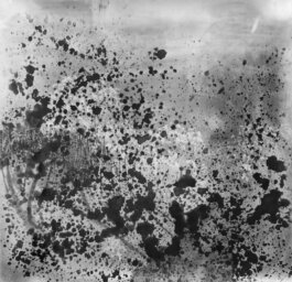 Galerie Born, zeitgenössische Kunst. Malerei, Zeichnung und Skulptur. 