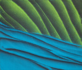 Galerie Born, zeitgenössische Kunst. Malerei, Zeichnung und Skulptur.