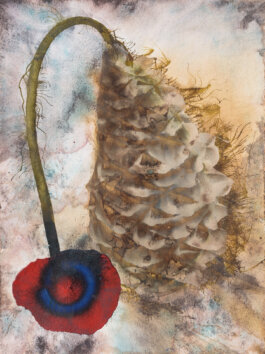 Galerie Born, zeitgenössische Kunst. Malerei, Zeichnung und Skulptur.