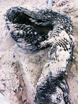 Galerie Born, zeitgenössische Kunst. Malerei, Zeichnung und Skulptur. 