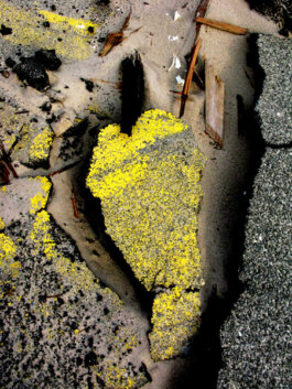 Galerie Born, zeitgenössische Kunst. Malerei, Zeichnung und Skulptur. 