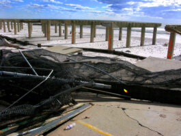 Galerie Born, zeitgenössische Kunst. Malerei, Zeichnung und Skulptur. 