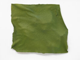 Galerie Born, zeitgenössische Kunst. Malerei, Zeichnung und Skulptur. 