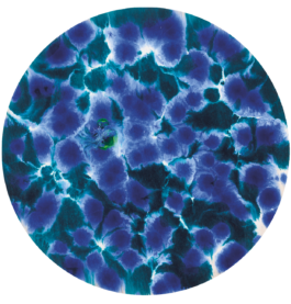 Galerie Born, zeitgenössische Kunst. Malerei, Zeichnung und Skulptur. 