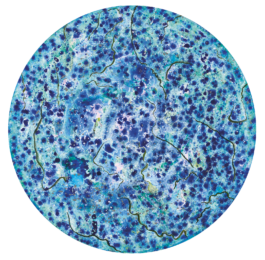 Galerie Born, zeitgenössische Kunst. Malerei, Zeichnung und Skulptur. 