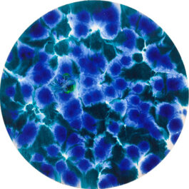 Galerie Born, zeitgenössische Kunst. Malerei, Zeichnung und Skulptur. 