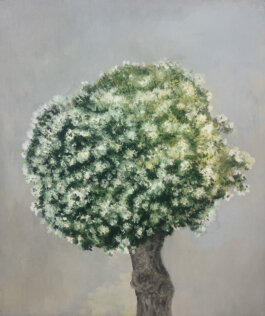 Galerie Born, zeitgenössische Kunst. Malerei, Zeichnung und Skulptur. 