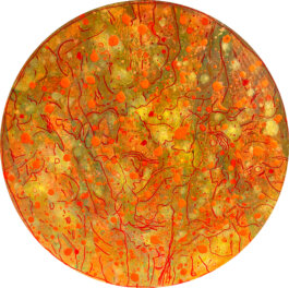 Galerie Born, zeitgenössische Kunst. Malerei, Zeichnung und Skulptur. 