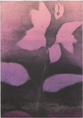 Galerie Born, zeitgenössische Kunst. Malerei, Zeichnung und Skulptur. 