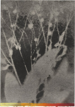 Galerie Born, zeitgenössische Kunst. Malerei, Zeichnung und Skulptur. 