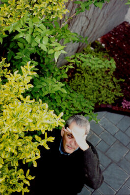 Galerie Born, zeitgenössische Kunst. Malerei, Zeichnung und Skulptur. 