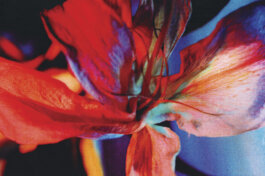 Galerie Born, zeitgenössische Kunst. Malerei, Zeichnung und Skulptur.