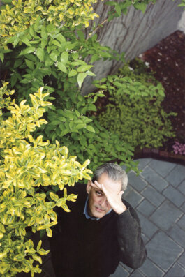 Galerie Born, zeitgenössische Kunst. Malerei, Zeichnung und Skulptur.