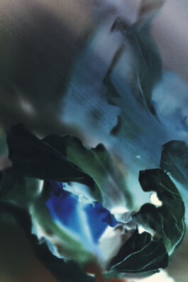 Galerie Born, zeitgenössische Kunst. Malerei, Zeichnung und Skulptur.