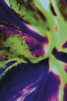 Galerie Born, zeitgenössische Kunst. Malerei, Zeichnung und Skulptur.