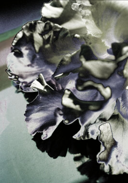 Galerie Born, zeitgenössische Kunst. Malerei, Zeichnung und Skulptur.