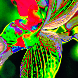 Galerie Born, zeitgenössische Kunst. Malerei, Zeichnung und Skulptur. 